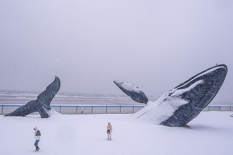 山東暑假旅游青島攻略？山東暑假旅游青島攻略一日游